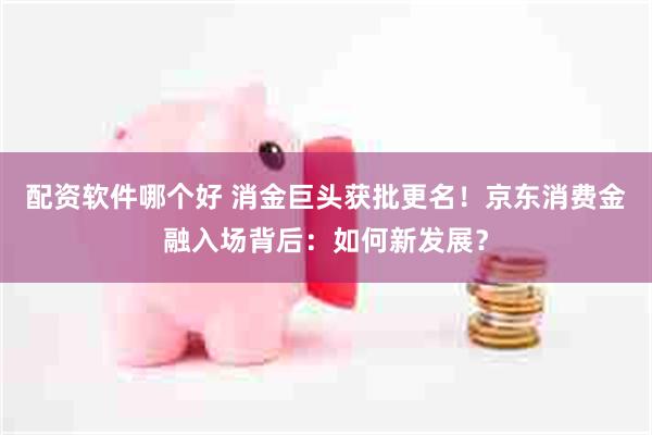 配资软件哪个好 消金巨头获批更名！京东消费金融入场背后：如何新发展？