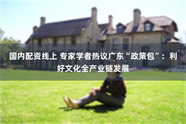 国内配资线上 专家学者热议广东“政策包”：利好文化全产业链发展