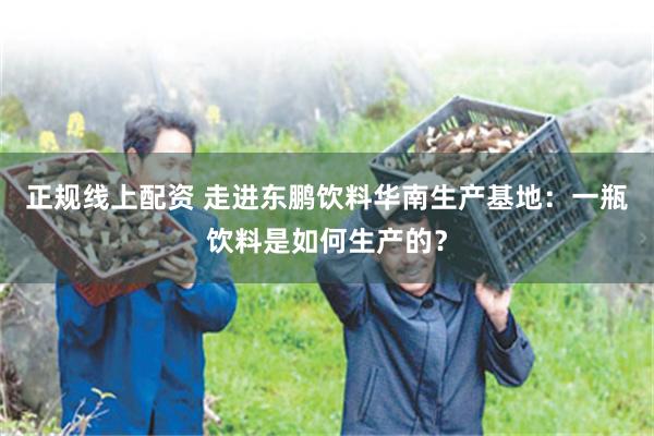 正规线上配资 走进东鹏饮料华南生产基地：一瓶饮料是如何生产的？