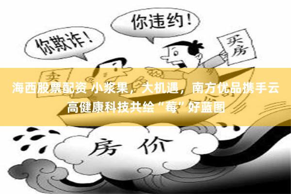 海西股票配资 小浆果，大机遇，南方优品携手云高健康科技共绘“莓”好蓝图