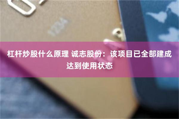 杠杆炒股什么原理 诚志股份：该项目已全部建成达到使用状态