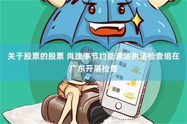 关于股票的股票 肖捷率节约能源法执法检查组在广东开展检查