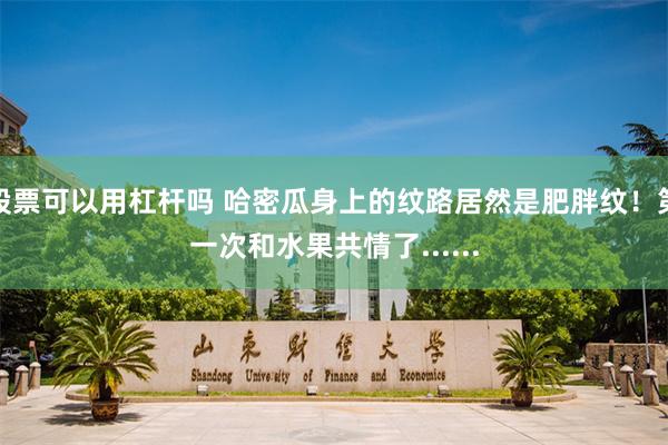股票可以用杠杆吗 哈密瓜身上的纹路居然是肥胖纹！第一次和水果共情了......