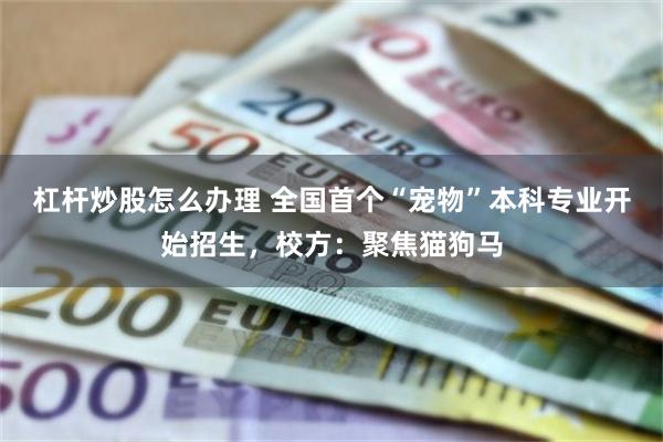 杠杆炒股怎么办理 全国首个“宠物”本科专业开始招生，校方：聚焦猫狗马