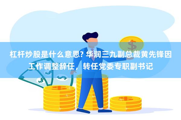 杠杆炒股是什么意思? 华润三九副总裁黄先锋因工作调整辞任，转任党委专职副书记