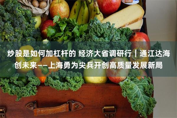 炒股是如何加杠杆的 经济大省调研行｜通江达海创未来——上海勇为尖兵开创高质量发展新局