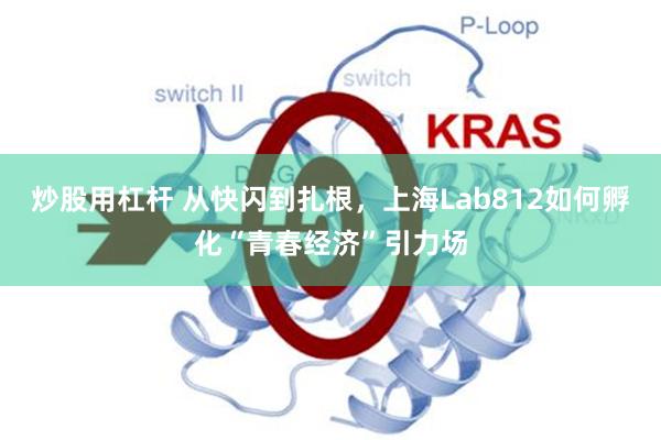 炒股用杠杆 从快闪到扎根，上海Lab812如何孵化“青春经济”引力场