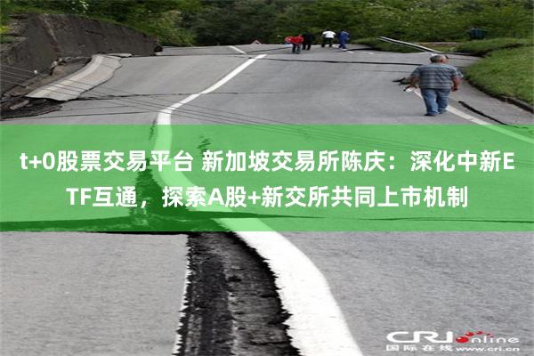 t+0股票交易平台 新加坡交易所陈庆：深化中新ETF互通，探索A股+新交所共同上市机制