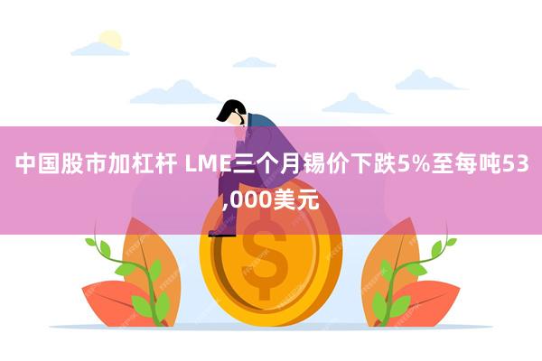 中国股市加杠杆 LME三个月锡价下跌5%至每吨53,000美元