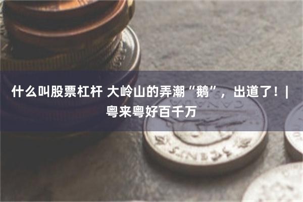 什么叫股票杠杆 大岭山的弄潮“鹅”，出道了！| 粤来粤好百千万