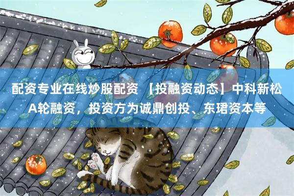 配资专业在线炒股配资 【投融资动态】中科新松A轮融资，投资方为诚鼎创投、东珺资本等