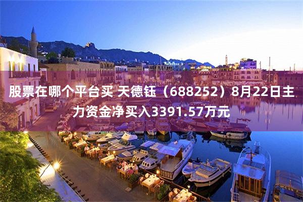 股票在哪个平台买 天德钰（688252）8月22日主力资金净买入3391.57万元