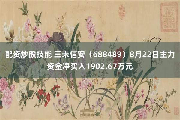 配资炒股技能 三未信安（688489）8月22日主力资金净买入1902.67万元
