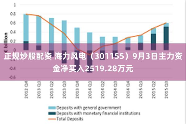 正规炒股配资 海力风电(301155)9月3日主力资金净买入2519.28万元