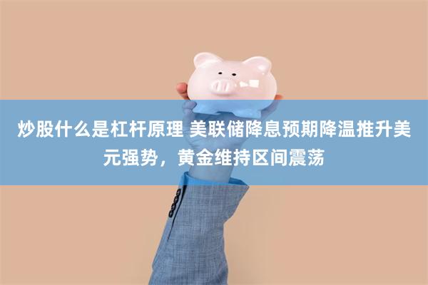炒股什么是杠杆原理 美联储降息预期降温推升美元强势，黄金维持区间震荡