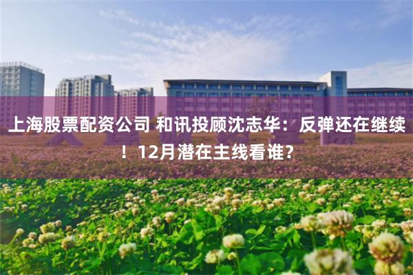 上海股票配资公司 和讯投顾沈志华：反弹还在继续！12月潜在主线看谁？