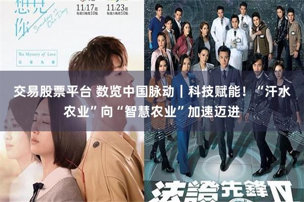 交易股票平台 数览中国脉动｜科技赋能！“汗水农业”向“智慧农业”加速迈进