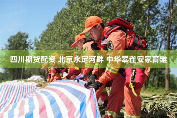 四川期货配资 北京永定河畔 中华攀雀安家育雏