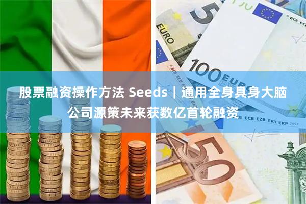 股票融资操作方法 Seeds｜通用全身具身大脑公司源策未来获数亿首轮融资