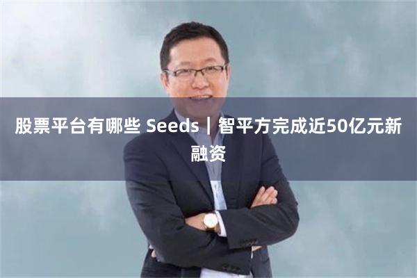 股票平台有哪些 Seeds|智平方完成近50亿元新融资