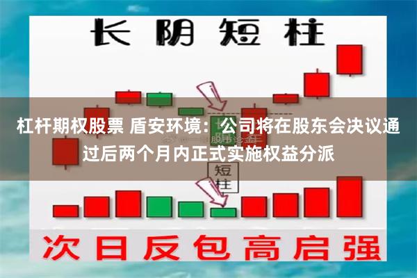 杠杆期权股票 盾安环境:公司将在股东会决议通过后两个月内正式实施权益分派