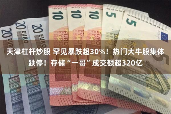 天津杠杆炒股 罕见暴跌超30%!热门大牛股集体跌停!存储“一哥”成交额超320亿