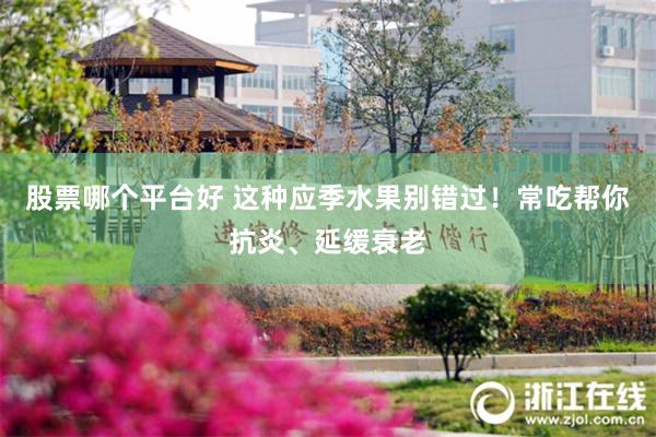 股票哪个平台好 这种应季水果别错过！常吃帮你抗炎、延缓衰老