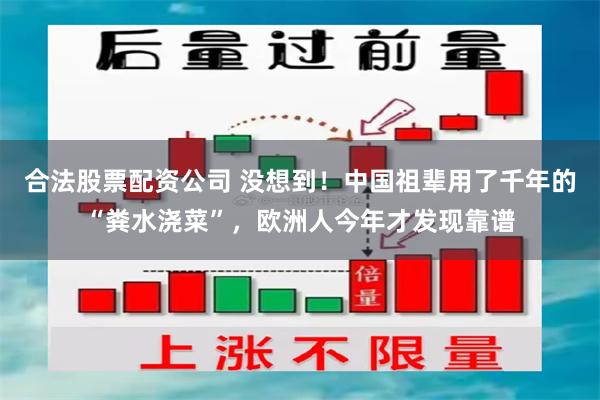 合法股票配资公司 没想到！中国祖辈用了千年的“粪水浇菜”，欧洲人今年才发现靠谱