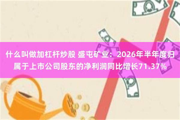 什么叫做加杠杆炒股 盛屯矿业：2026年半年度归属于上市公司股东的净利润同比增长71.37%