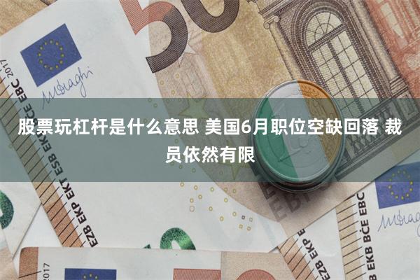 股票玩杠杆是什么意思 美国6月职位空缺回落 裁员依然有限