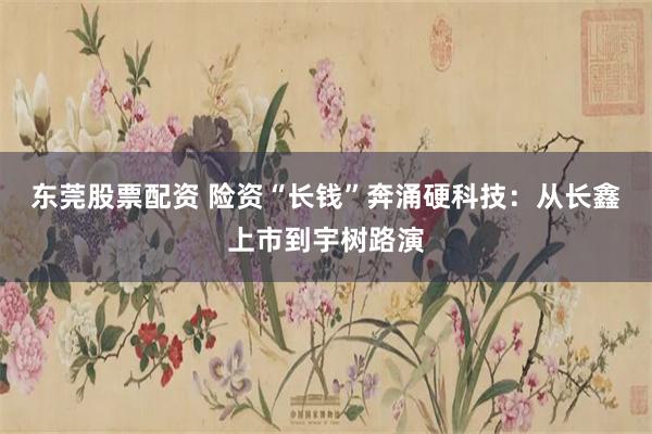 东莞股票配资 险资“长钱”奔涌硬科技：从长鑫上市到宇树路演
