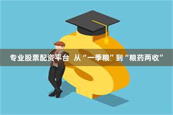 专业股票配资平台  从“一季粮”到“粮药两收”
