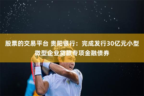 股票的交易平台 贵阳银行：完成发行30亿元小型微型企业贷款专项金融债券