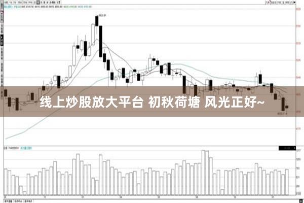 线上炒股放大平台 初秋荷塘 风光正好~
