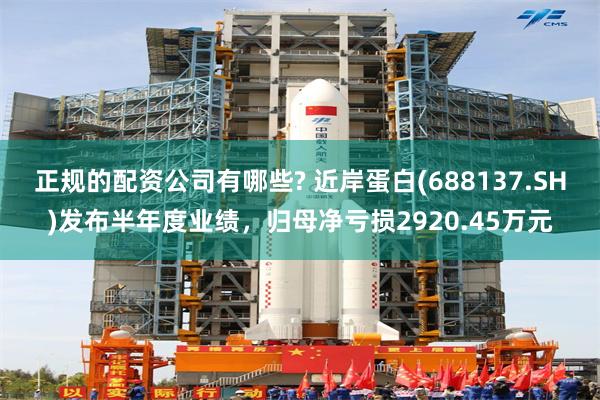正规的配资公司有哪些? 近岸蛋白(688137.SH)发布半年度业绩，归母净亏损2920.45万元