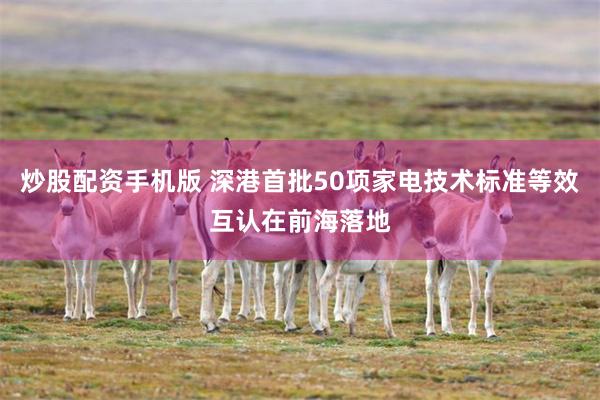 炒股配资手机版 深港首批50项家电技术标准等效互认在前海落地