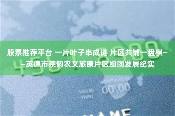股票推荐平台 一片叶子串成链 片区共铺一盘棋——英德市茶韵农文旅康片区组团发展纪实