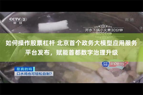 如何操作股票杠杆 北京首个政务大模型应用服务平台发布,赋能首都数字治理升级