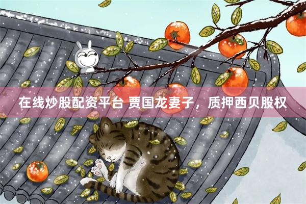 在线炒股配资平台 贾国龙妻子，质押西贝股权