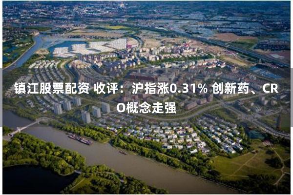 镇江股票配资 收评：沪指涨0.31% 创新药、CRO概念走强