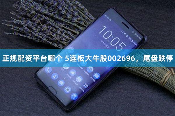 正规配资平台哪个 5连板大牛股002696,尾盘跌停